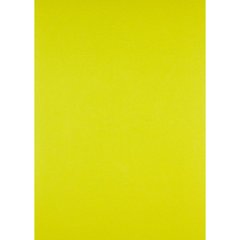 Обкладинки для брошурування А4 "Axent" картон під шкіру жовті (50) №2730-08