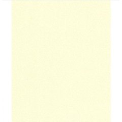 Папір для пастелі "Tiziano" А4 avorio 21 х29,7 см 160 г / м2 №16F4140 (кремовий) (10) №40